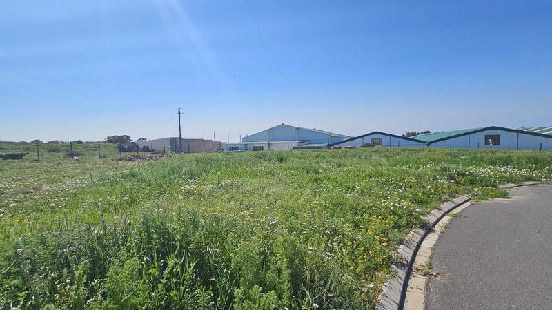 0 Bedroom Property for Sale in St Helena Views Western Cape